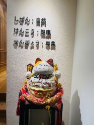 -一本X目奈子日式单根美睫专业店