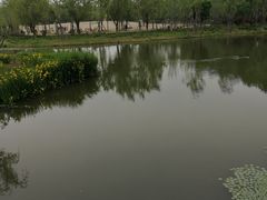 -东郊湿地公园