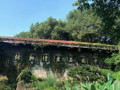 -中国茶叶博物馆(双峰馆区)