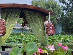 -西安浐灞国家湿地公园