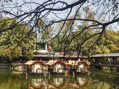 -侨美·唐荔园·40年地道粤菜