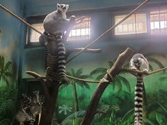 -西安秦岭野生动物园