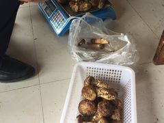 -蘑统田下·野生菌火锅