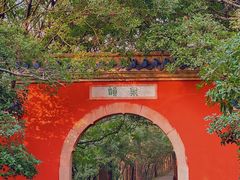 -灵谷景区
