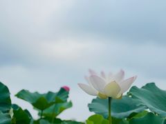-顺承小院儿