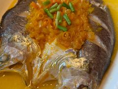 黄贡椒蒸黄鱼-淮香国色·淮扬菜(正大中心店)