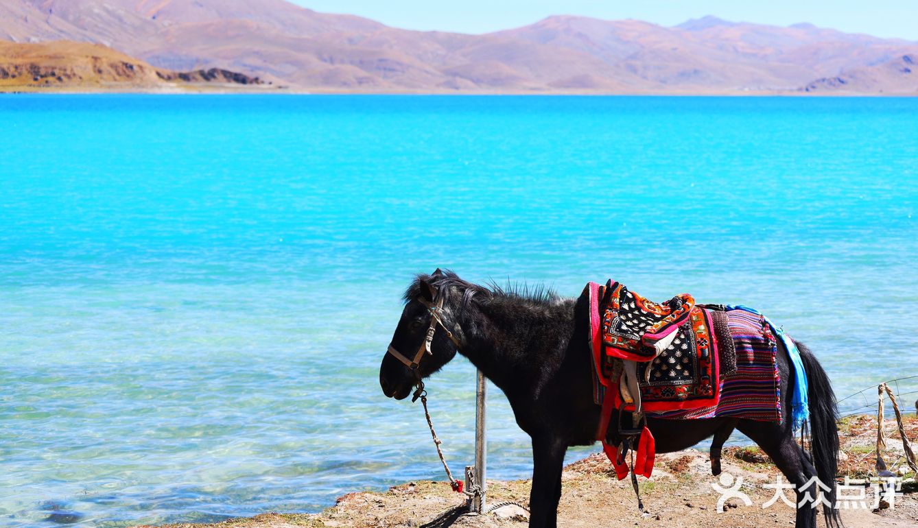 打卡西藏羊湖 神秘日托寺