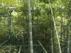 -陶祖圣境风景区