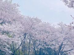 -杭州少年儿童公园