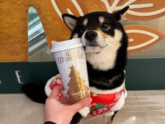 -CHARLIETOWN红茶公司(南京万象天地店)