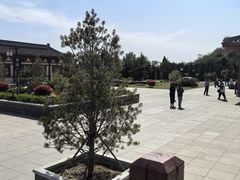 -洛阳古墓博物馆