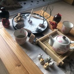 -JNK皮肤管理中心