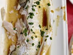 -明珠湖天鹅苑·农家菜馆