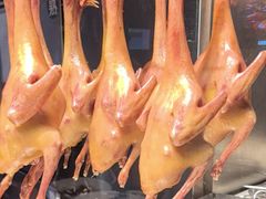 -三强鸽子(中原路店)