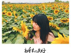 -映月湖中央公园