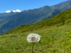 -阿坝州汶川特别旅游区