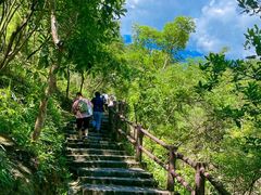 -广州白江湖森林公园