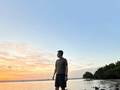 -宝安西湾红树林湿地公园