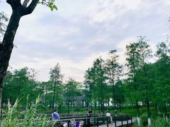 -映月湖公园