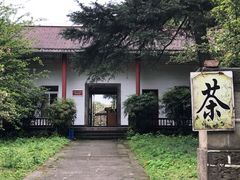 -南山植物园