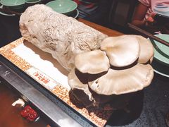 现剪鲜蘑菇-蜀江龙火锅(339店)
