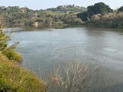 -福建鲤鱼洲酒店