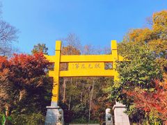 -南京老山国家森林公园