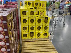 -山姆会员商店(亦庄创意生活广场店)