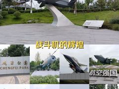 -成飞公园