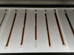 -银雀山汉墓竹简博物馆