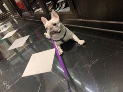 -鼎极摄影(世纪金源店)