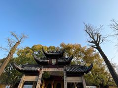 -西园戒幢律寺