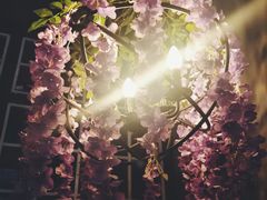 -枫叶林咖啡(华商店)