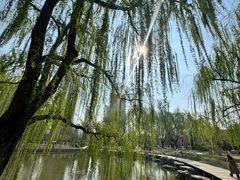 -南翠屏公园