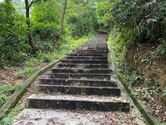 -火炉山森林公园