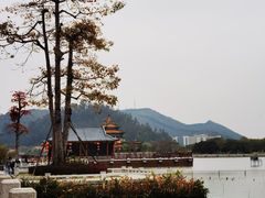 -顺峰山公园