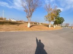 -盘龙城国家考古遗址公园