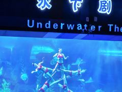 -泉城欧乐堡海洋极地世界