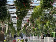 -常州花鸟园酒店(西太湖品牌优选店)