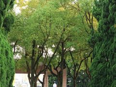 -上海市龙华烈士陵园