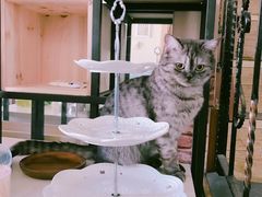 -不止轰趴桌游麻将台球(立水桥店)