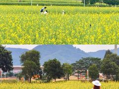 -光明小镇欢乐田园