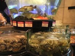 -陶陶居海鲜酒家(新马路店)
