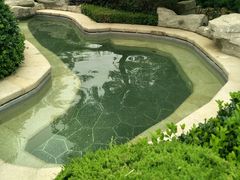 -大连金石滩绿发温泉假日酒店