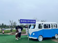 -杭州湾海上花田景区