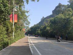 -南沙天后宫景区