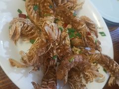 椒盐皮皮虾-大树下饭店(春晓镇慈岙社区卫生服务站南)