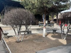 -纯阳宫(大同古城)