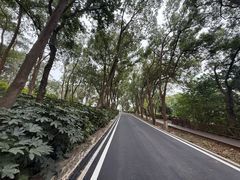 -上海市保健医疗中心