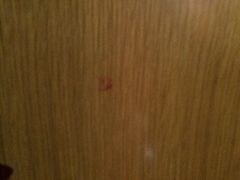 -常州武进九洲喜来登酒店